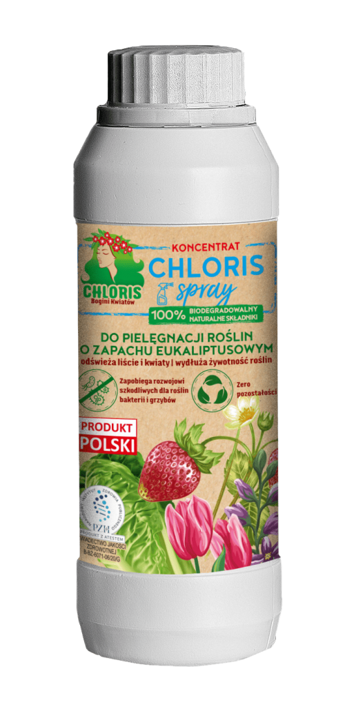 Chloris Spray concentrate